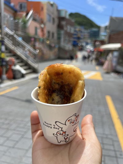 チャプサルシホットク