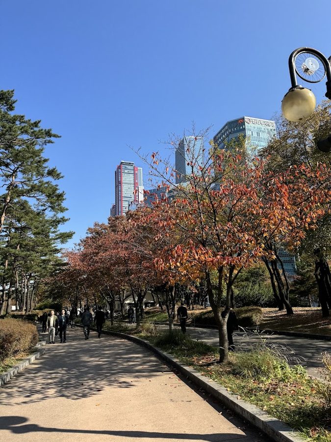 여의도공원 문화의마당
