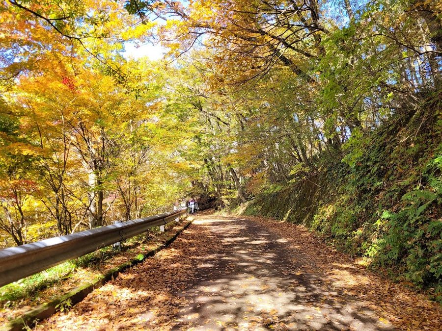 Hallasan Dulle-gil Cheona Forest Trail
