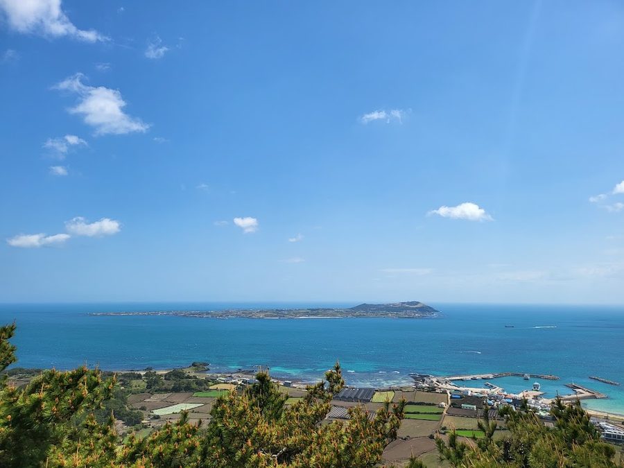 Jimibong
