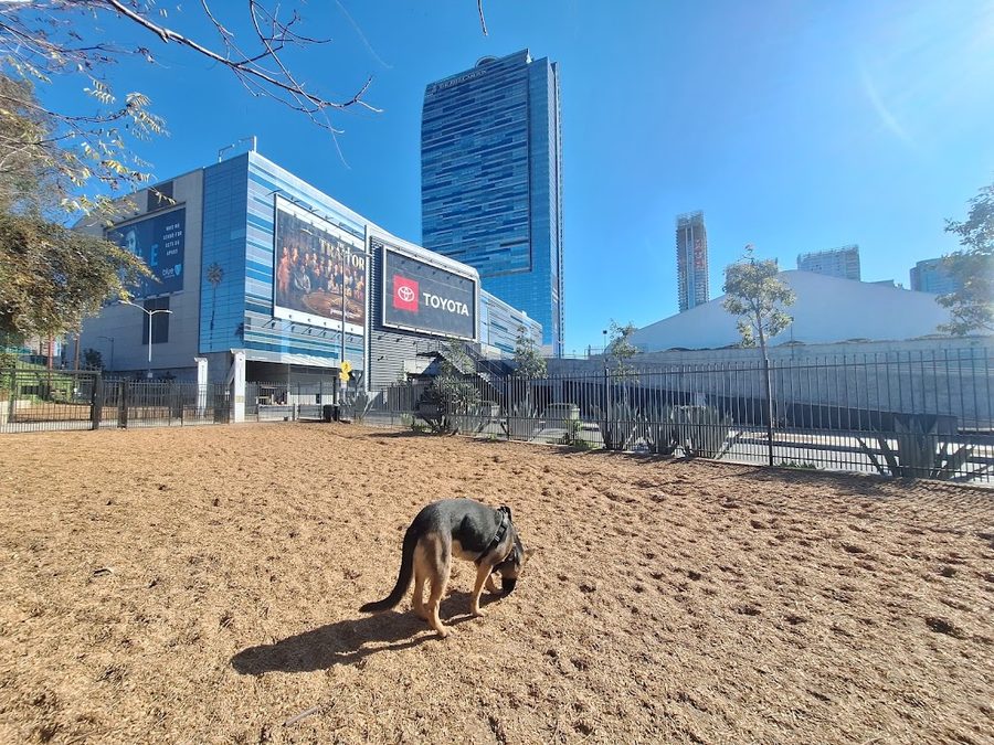 L.A. Live Dog Park