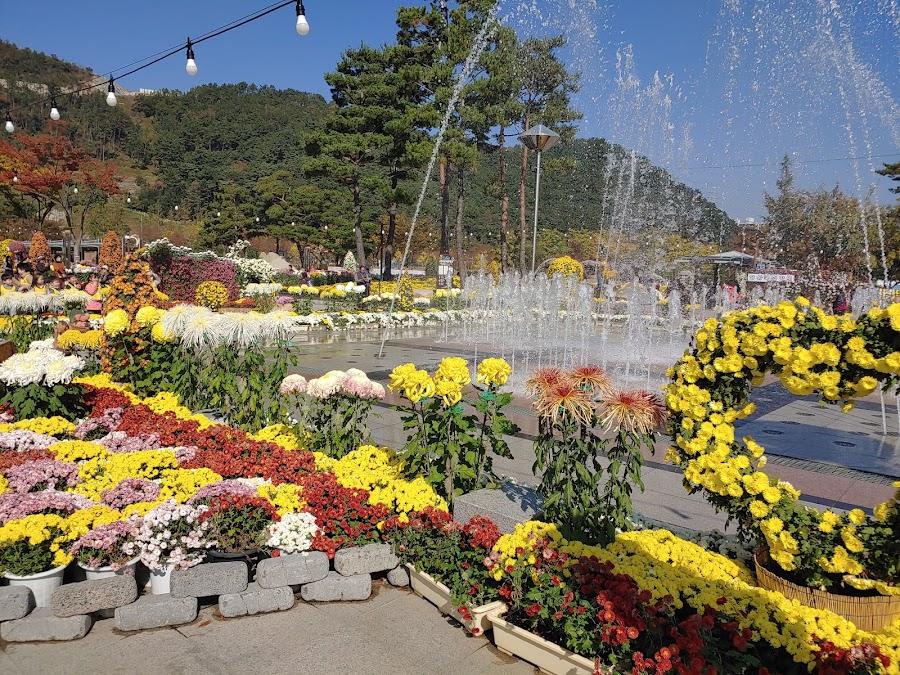 Water Park