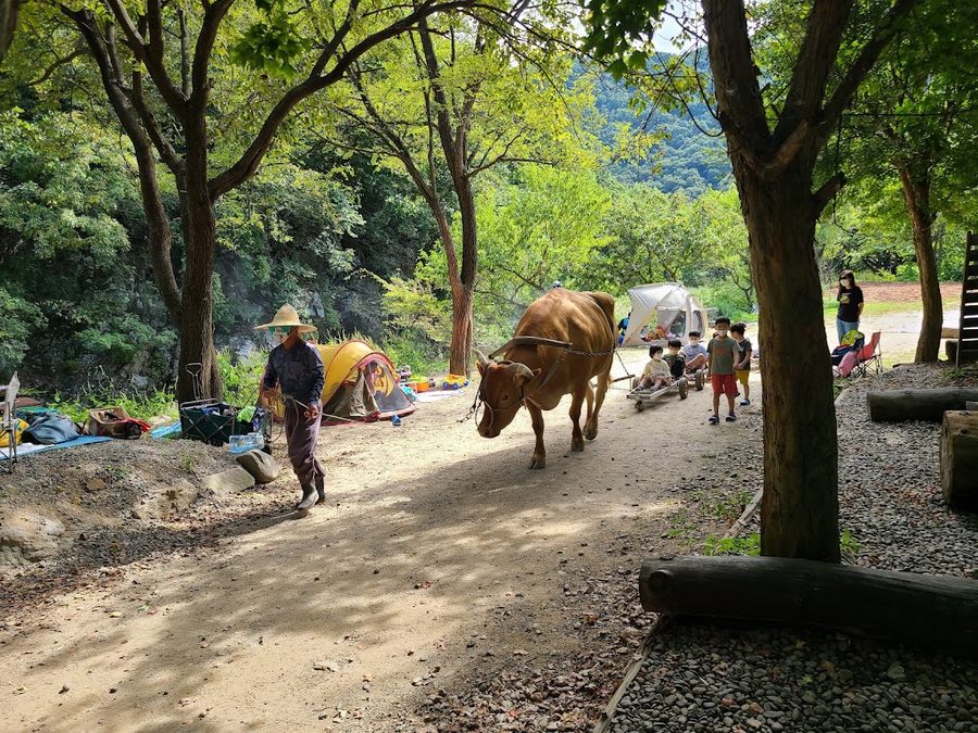Sosori 農場