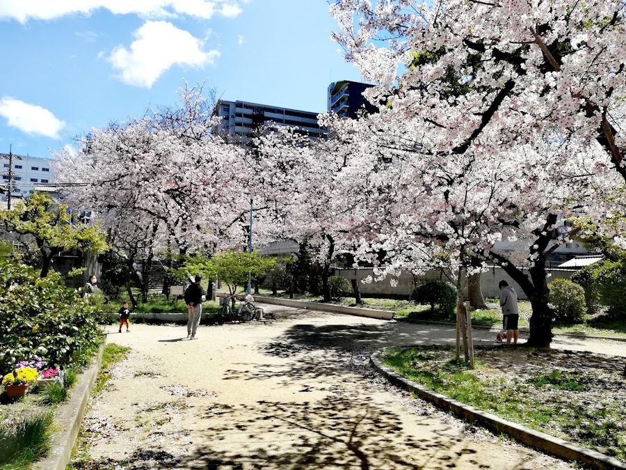高津公園