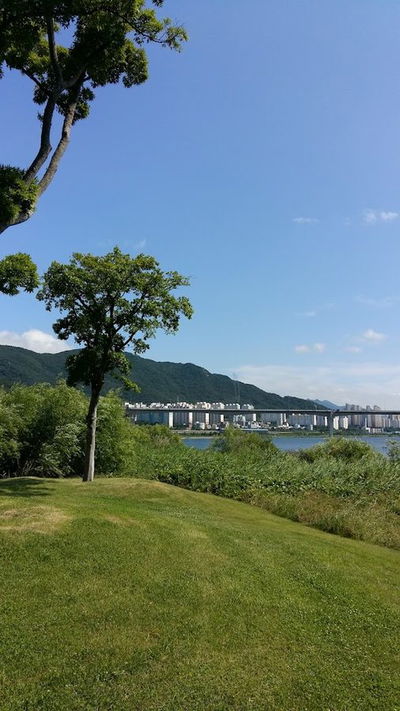 참대나무닭숯불바베큐화명점