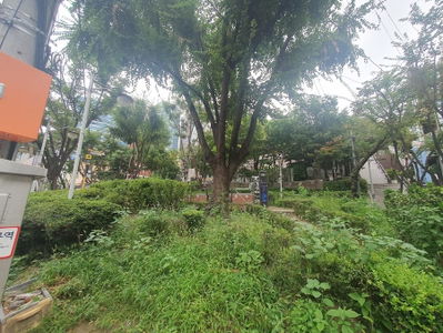 Saekkum Children's Park