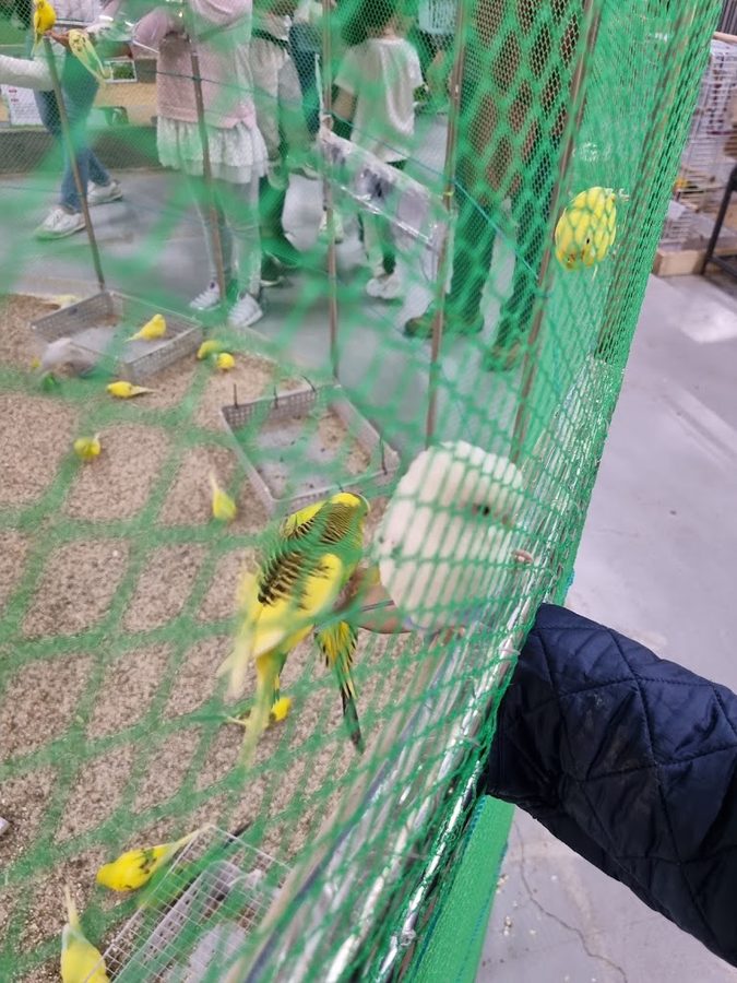 Gwangju Bugs Land