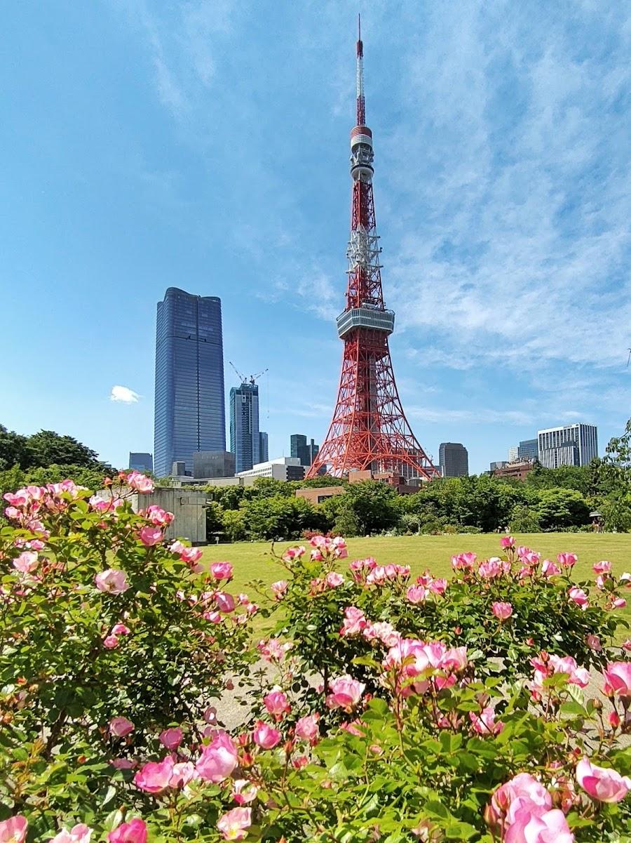 Prince Shiba Park