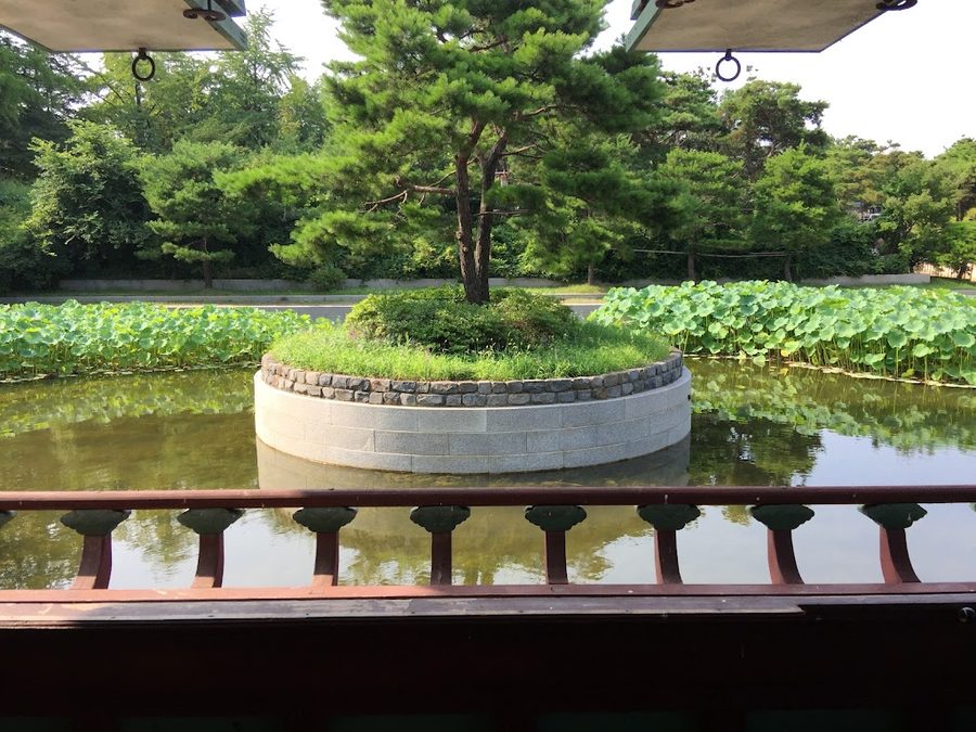 부용지