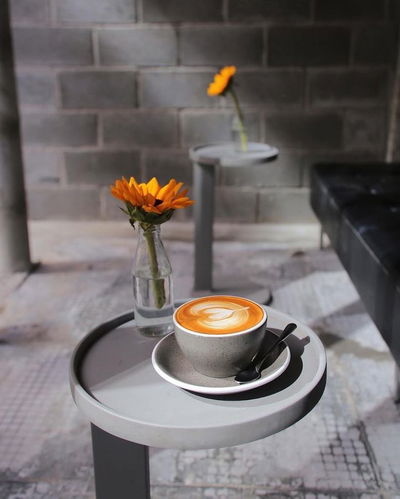 DNG Coffee