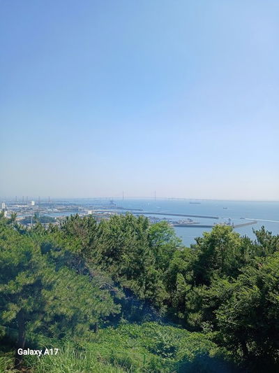월미산 정상