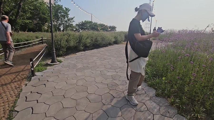 長生浦鯨魚文化村