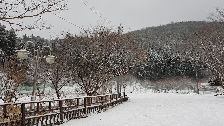 Ajung Cheryeon Park