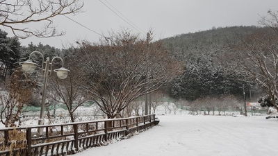 アジュン体育公園