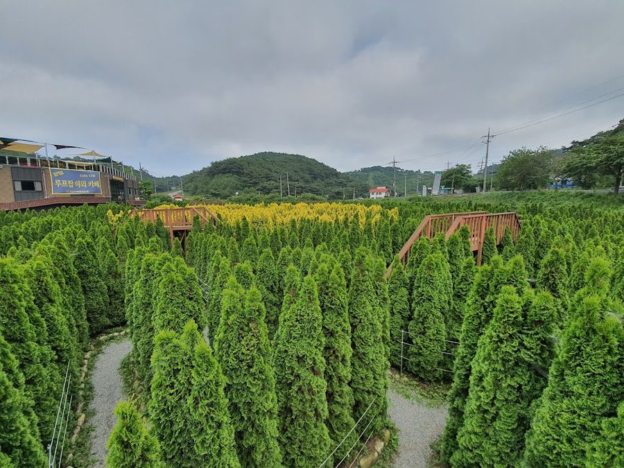 Baramarae Tourist Farm