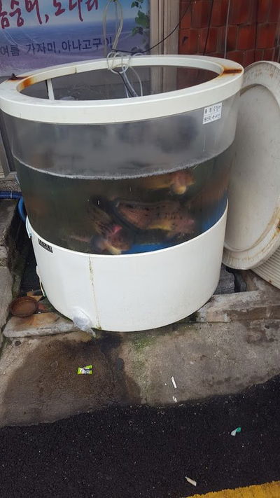 Jamae Hoejip
