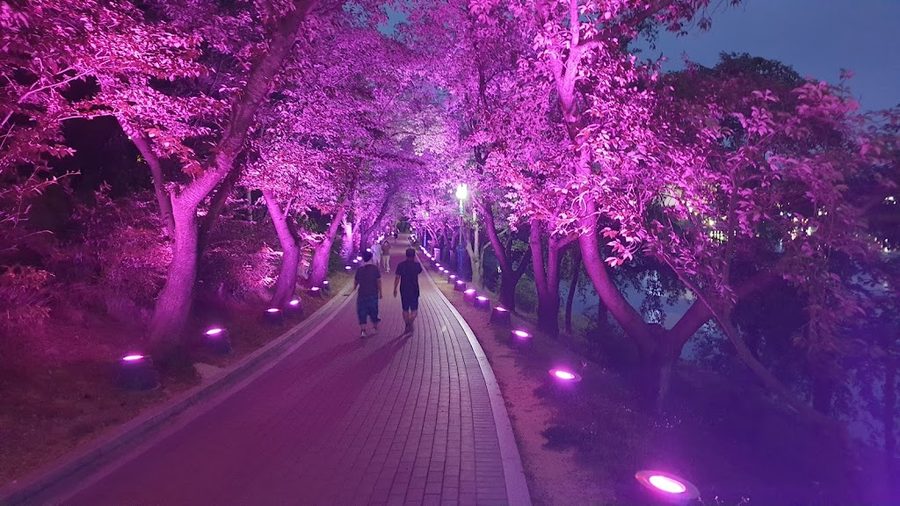 モグォル公園