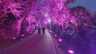 Mokwol Park