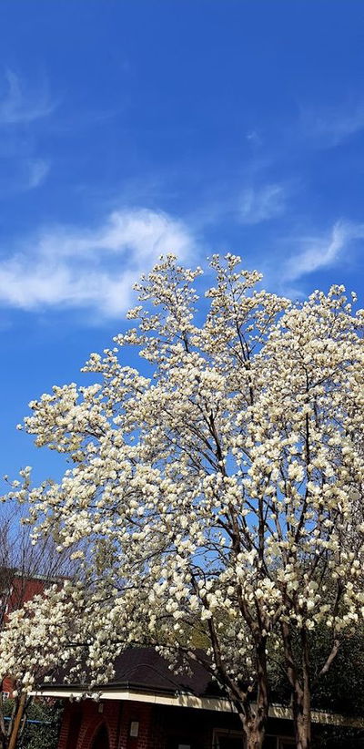 해바람동산