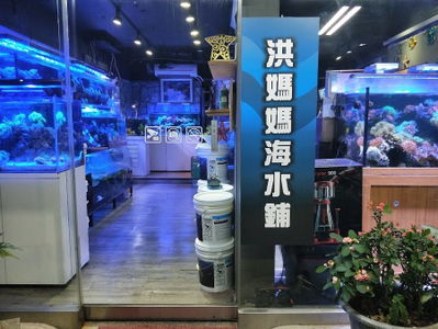 洪媽媽海水鋪