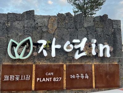 월평꽃시장