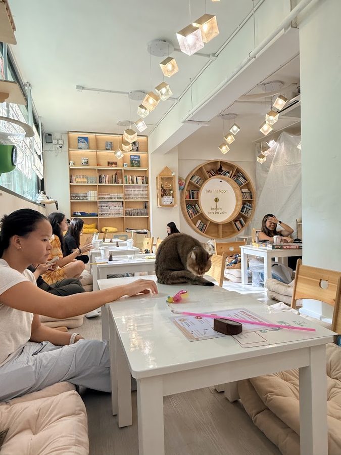 Cats Tea Room Causeway Bay
