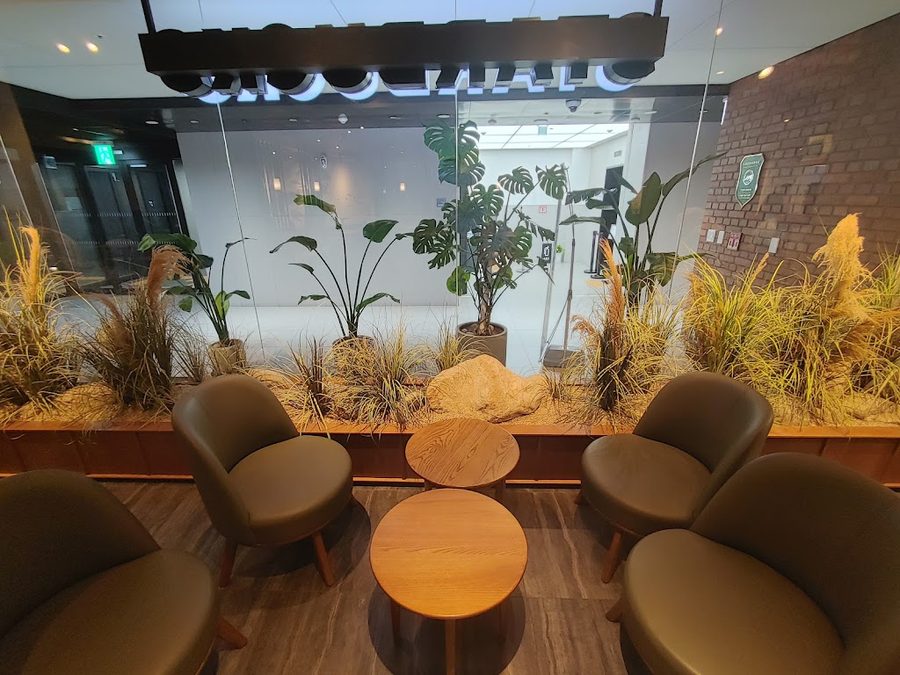 Starbucks Sejong-daero