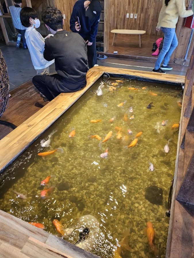 精靈出沒地區