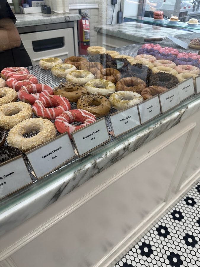 Bear Donut