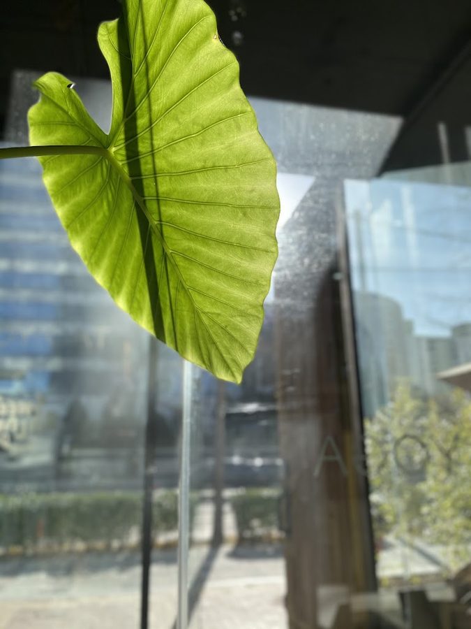스윗밸런스 목동타우요가점