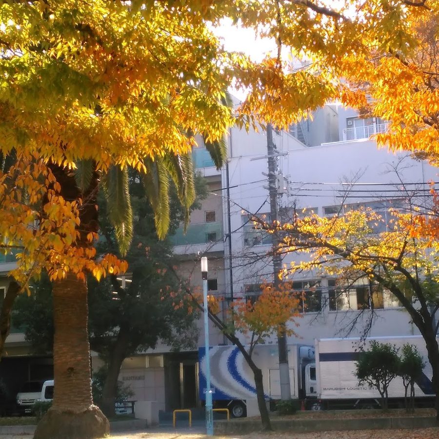 Nishisemba Park