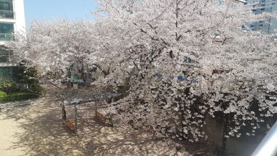 구서우성아파트