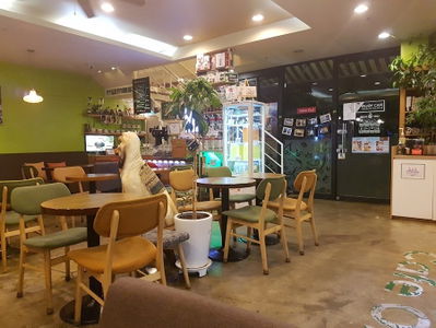 오가닉