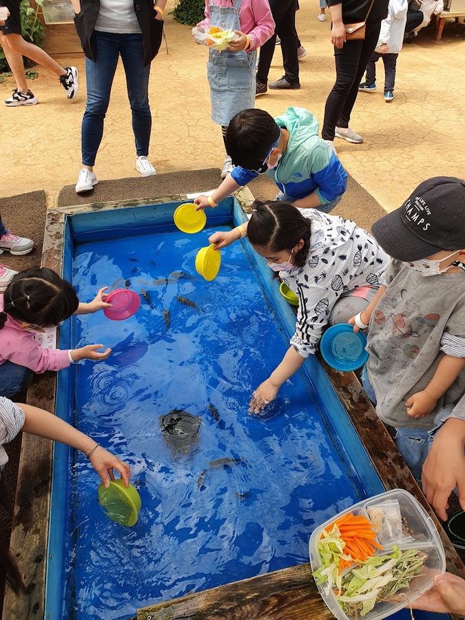 Sharing experience dongmeul baby farm