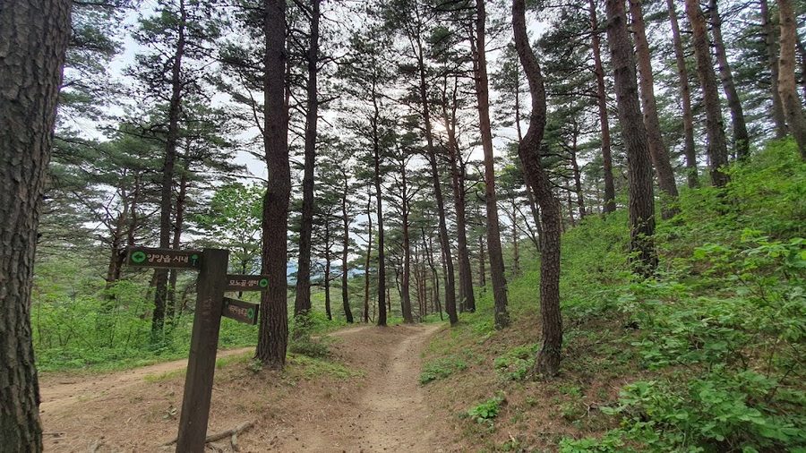 Monogol Sanrimyokjang