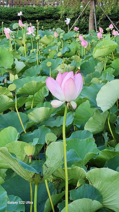Goseong Ecological Learning Center