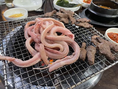 Bonjeonjib