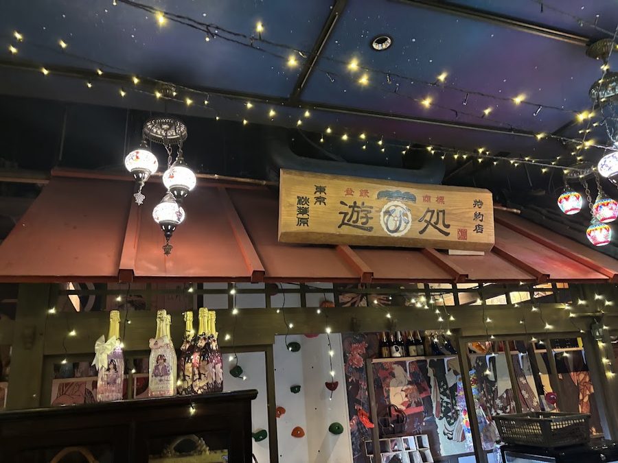 Akihabara concept cafe Timeleap