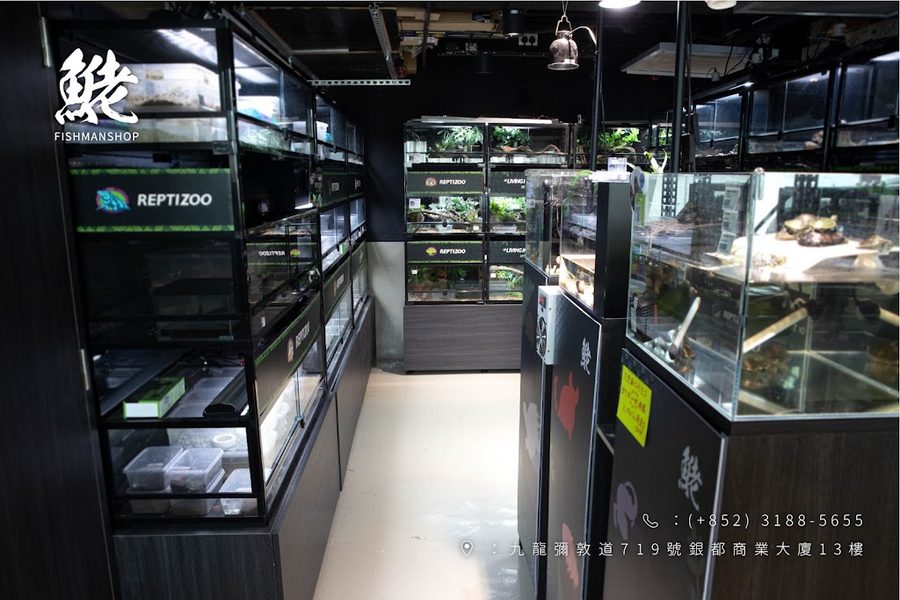 魚佬爬蟲水族 FishManShop