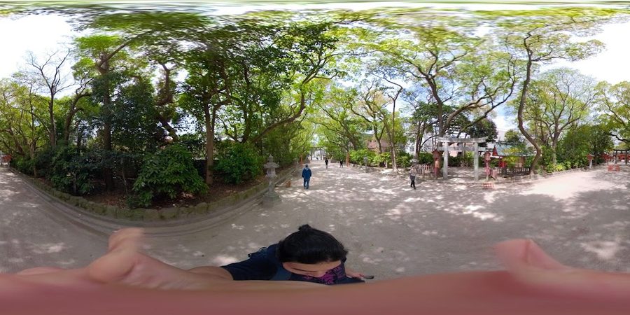 スクナヒコナ神社