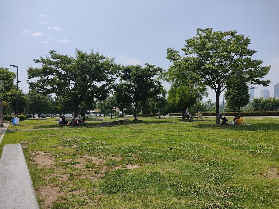纛島漢江公園人工攀岩場