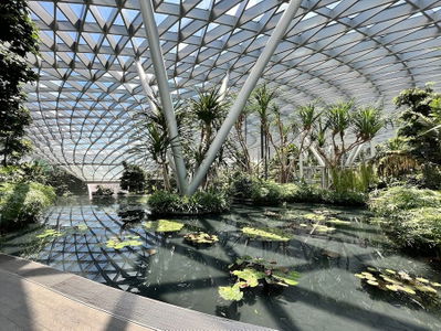 Canopy Park - Jewel Changi