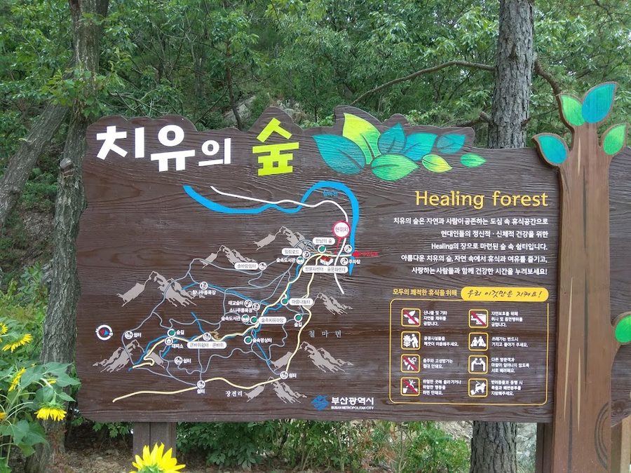 Busan Healing Forest
