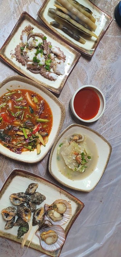 비치실비