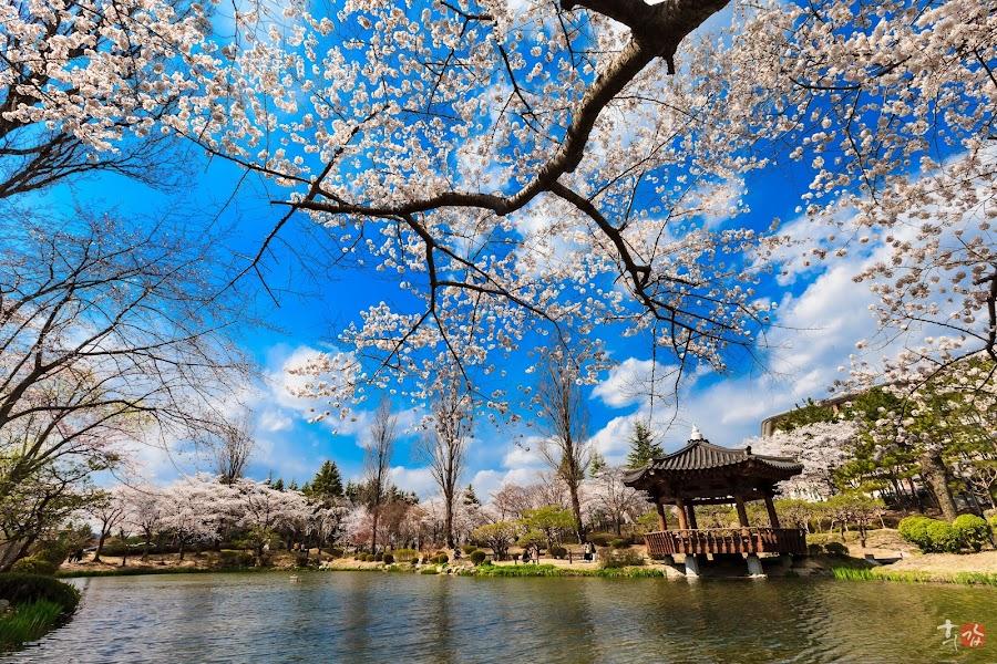 普門観光団地