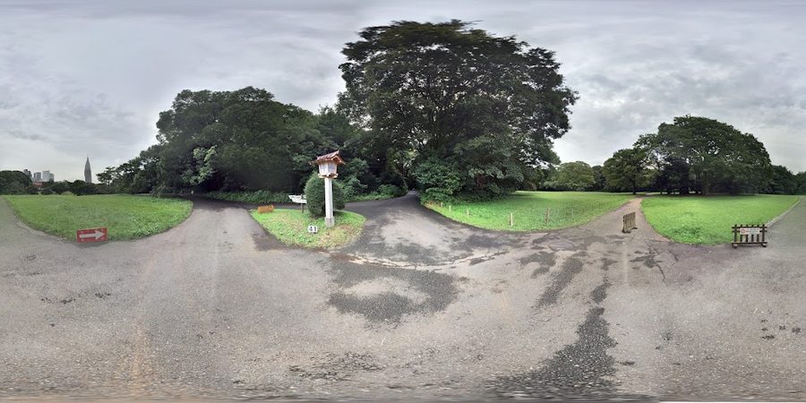 芝生公園