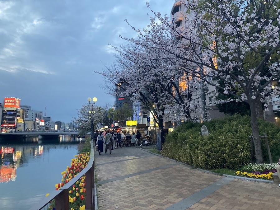 Seiryu Park