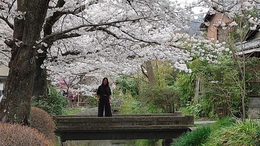 Philosopher's Path