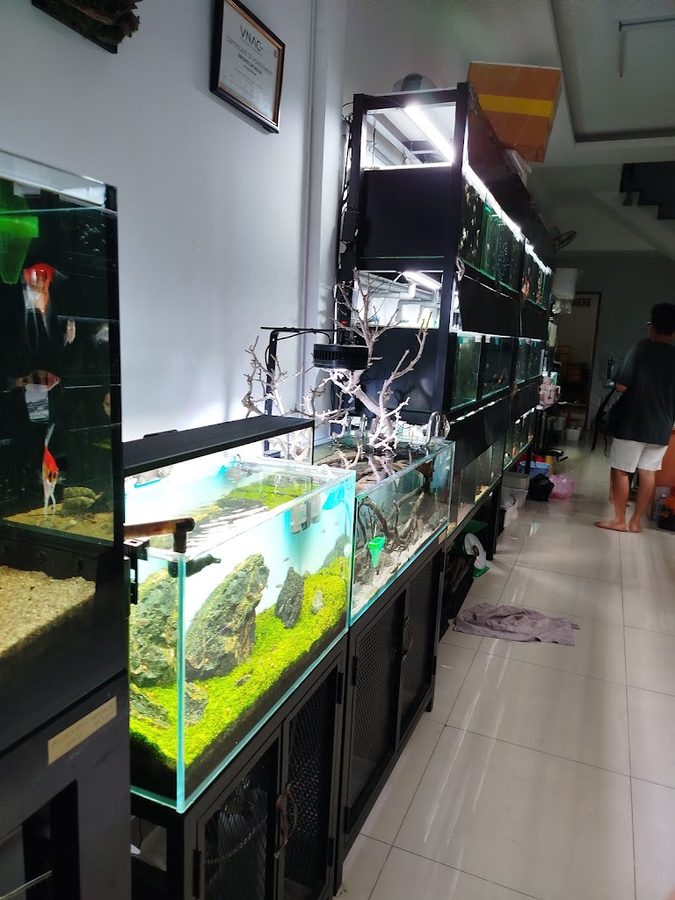 HT Aquatic