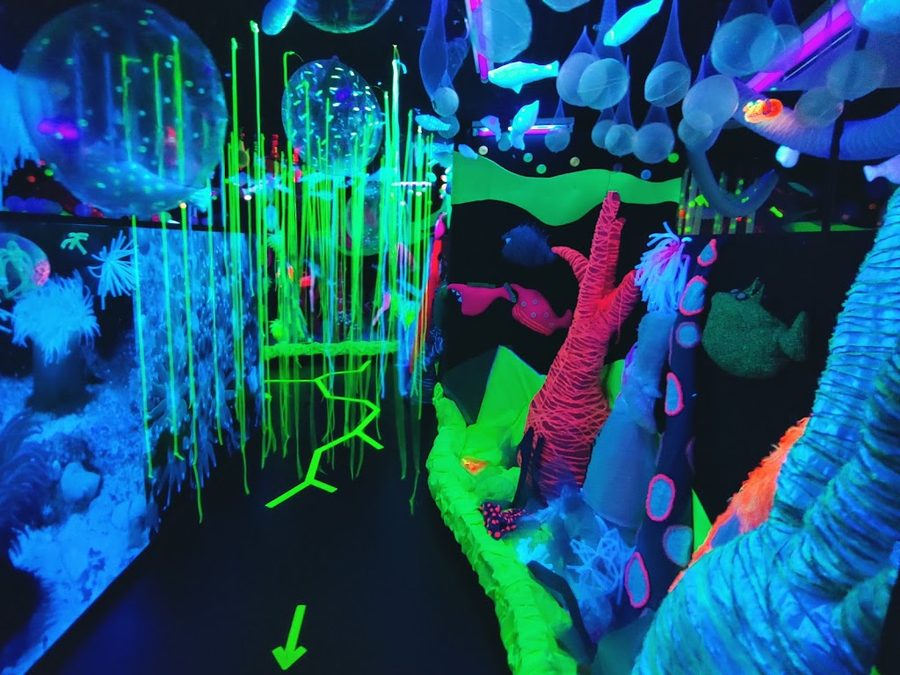 Crown Haitai Kids Museum
